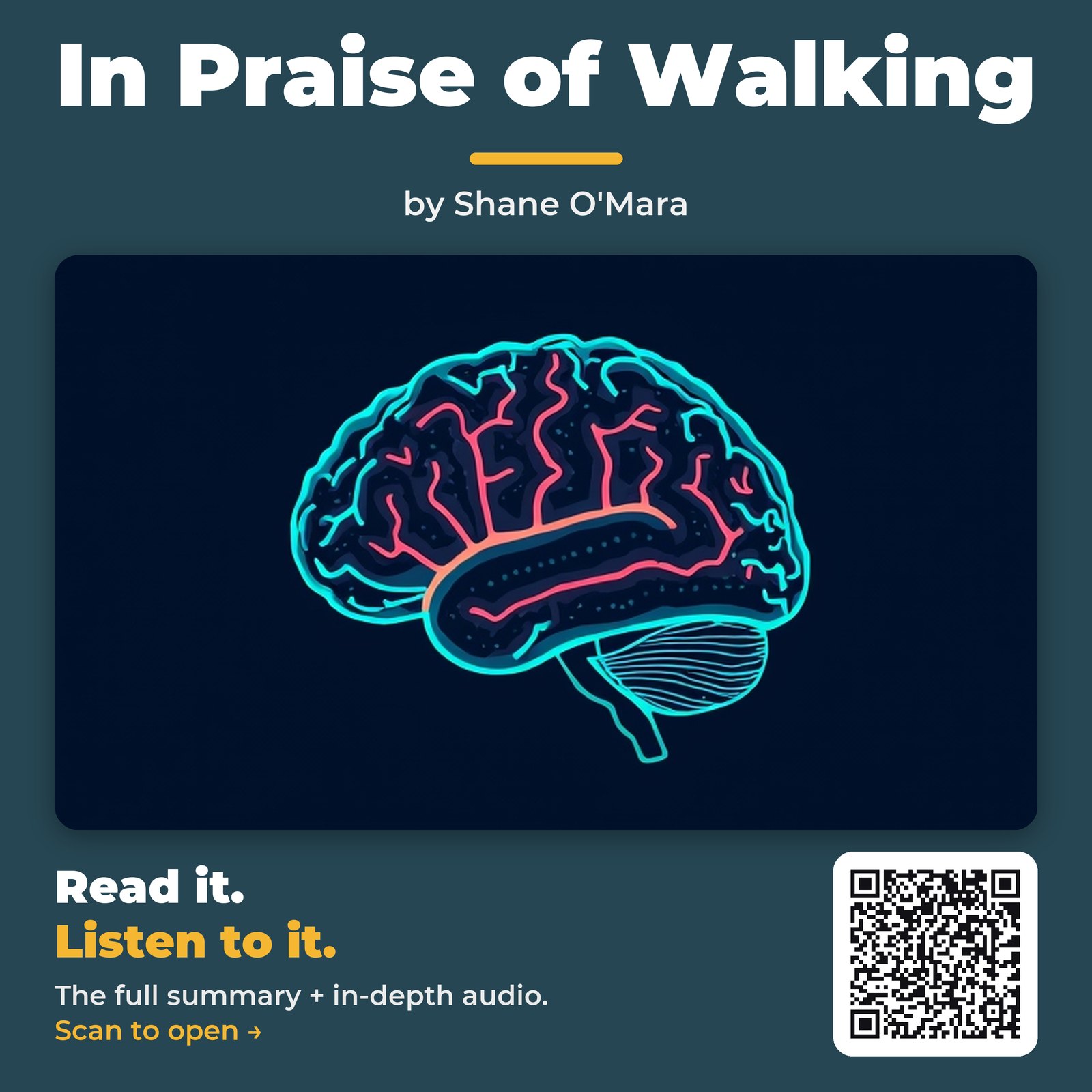 In Praise of Walking by Shane O’Mara – Book Summary