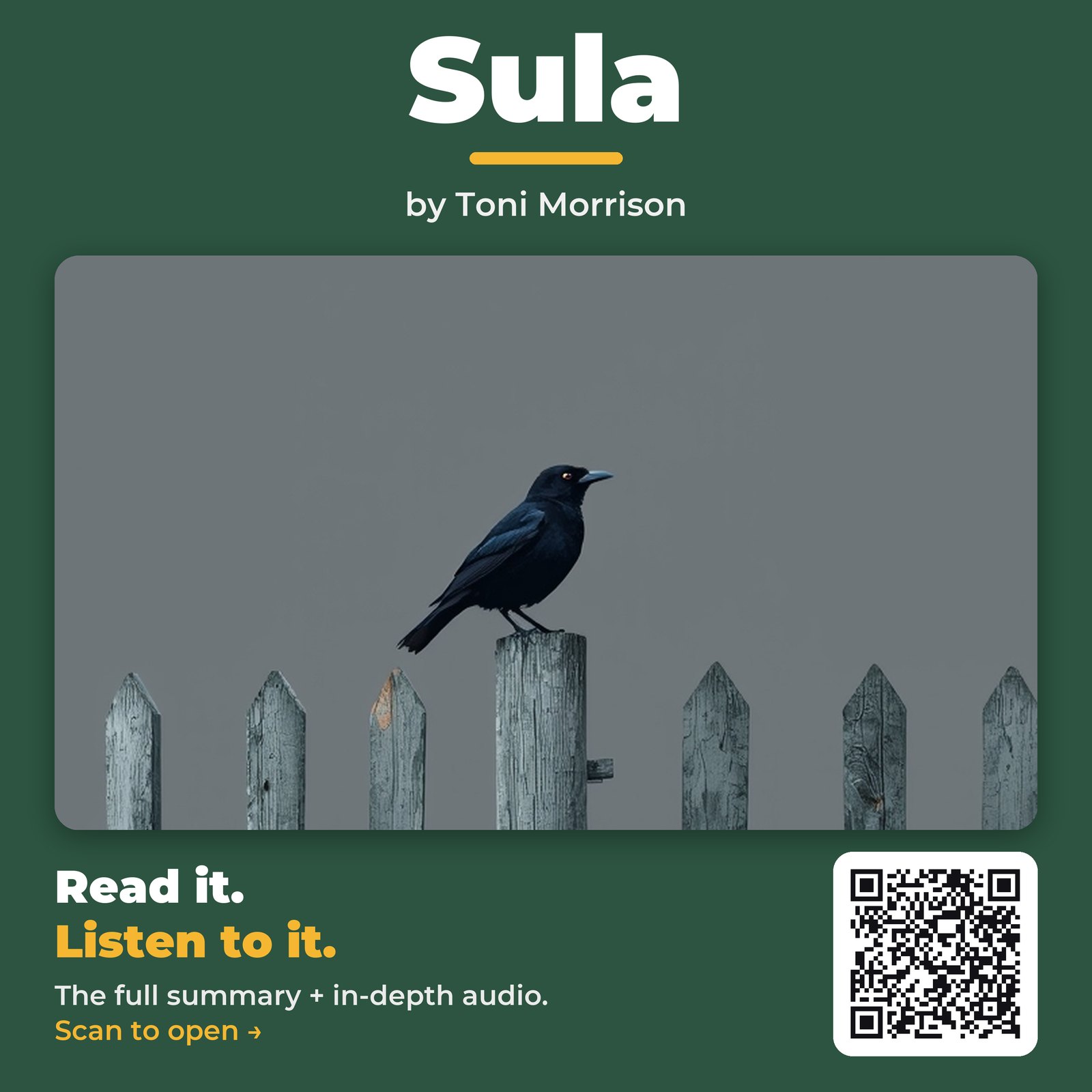 Sula by Toni Morrison – Book Summary