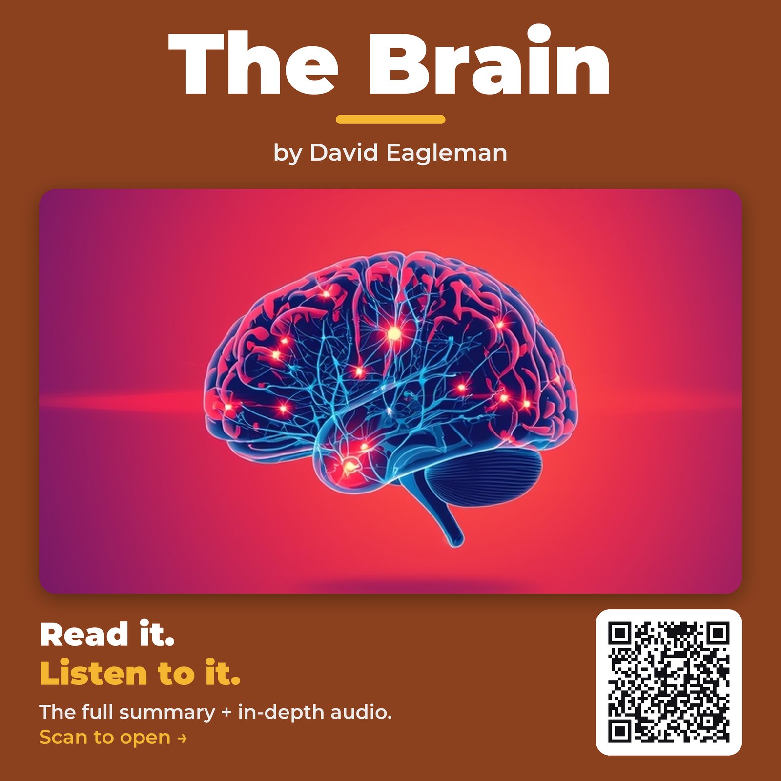 The Brain by David Eagleman – Book Summary
