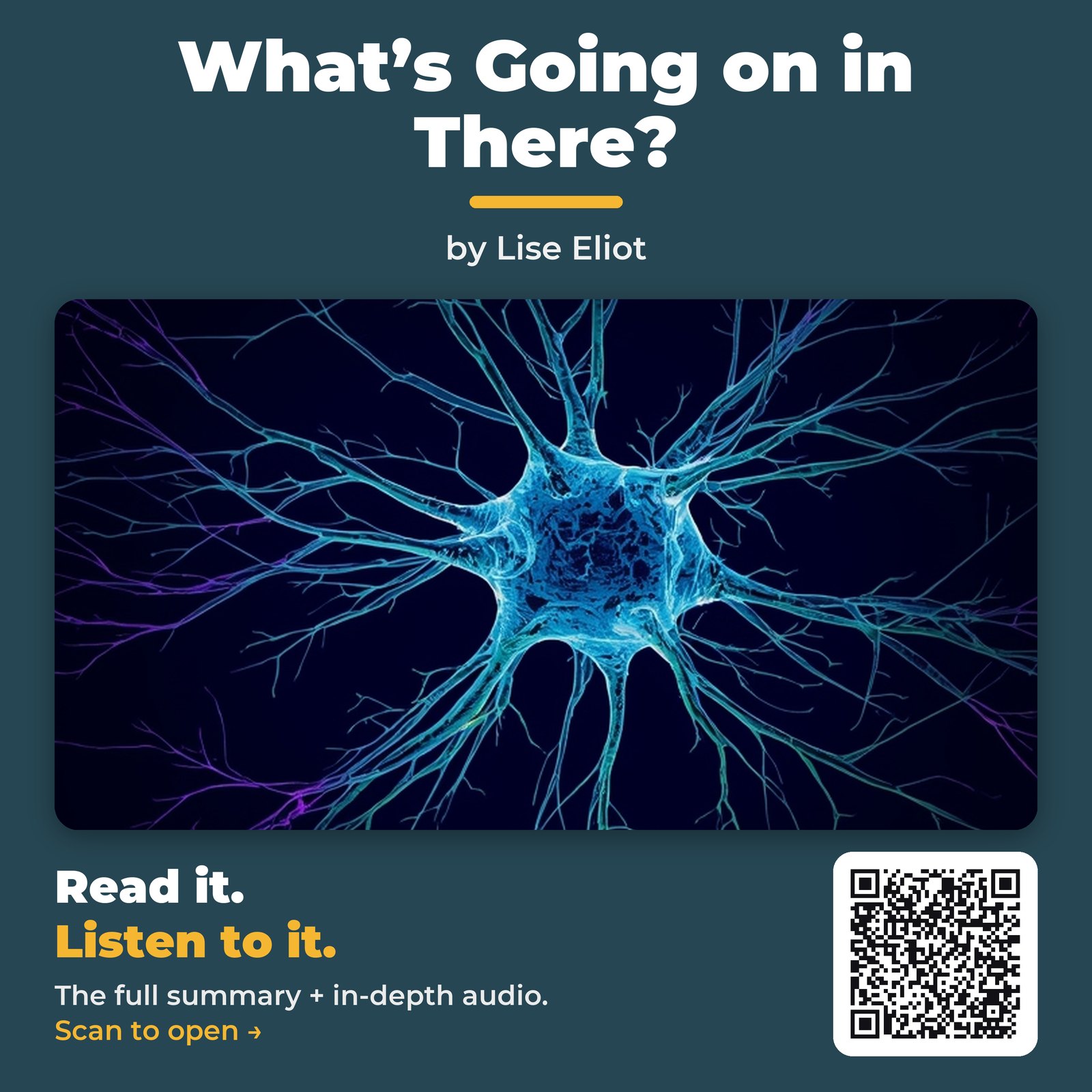What’s Going on in There? — cover