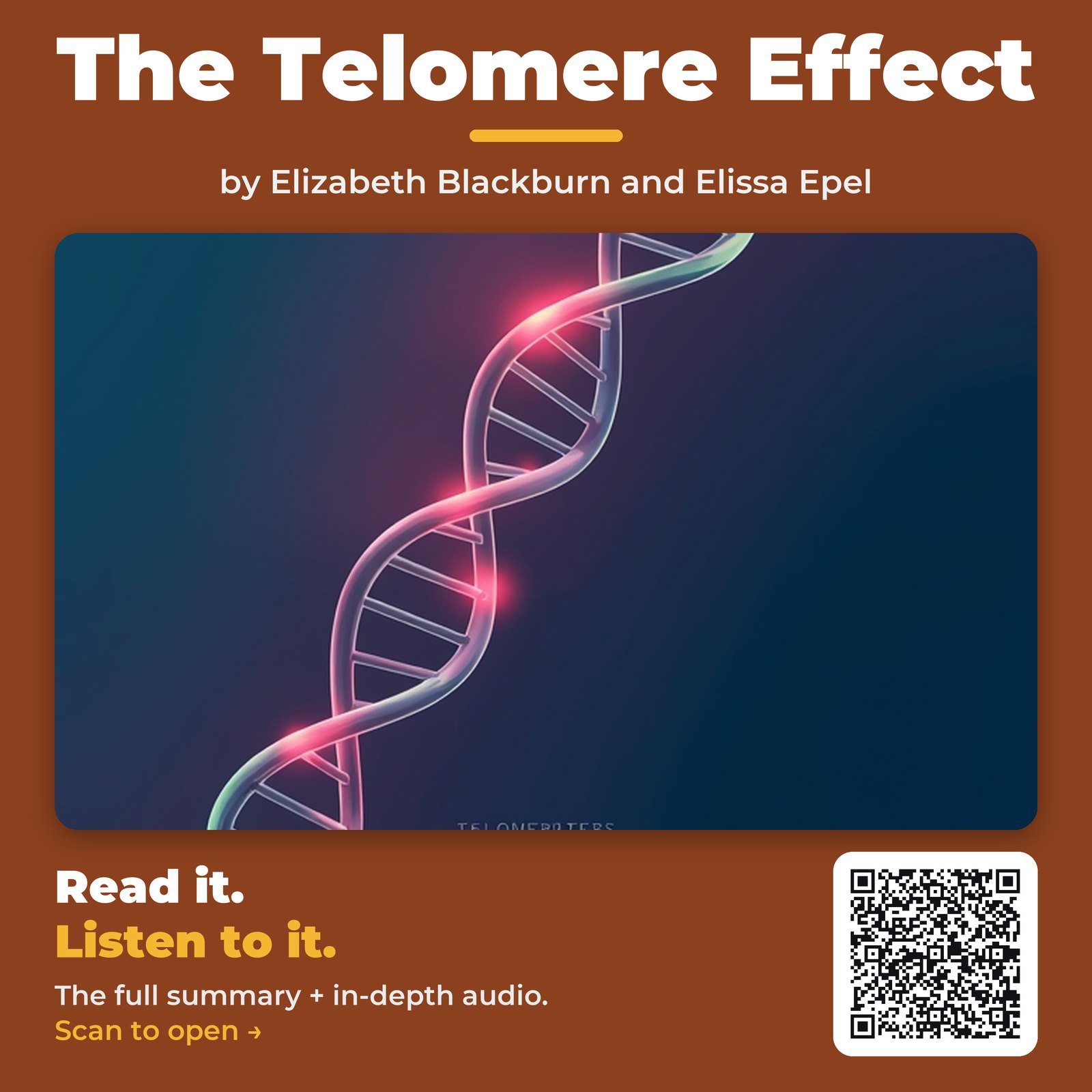The Telomere Effect by Elizabeth Blackburn and Elissa Epel – Book Summary